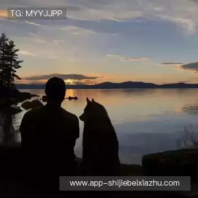 马唯星